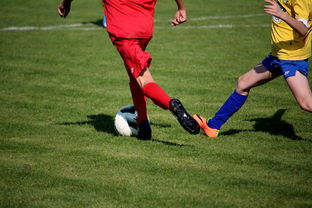 爱游戏体育-NBA球员训练计划优化设计，nba运动员训练计划