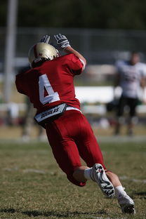 AYX GAME-德甲球队视频分析辅助防守站位调整的实证研究，德甲身体对抗